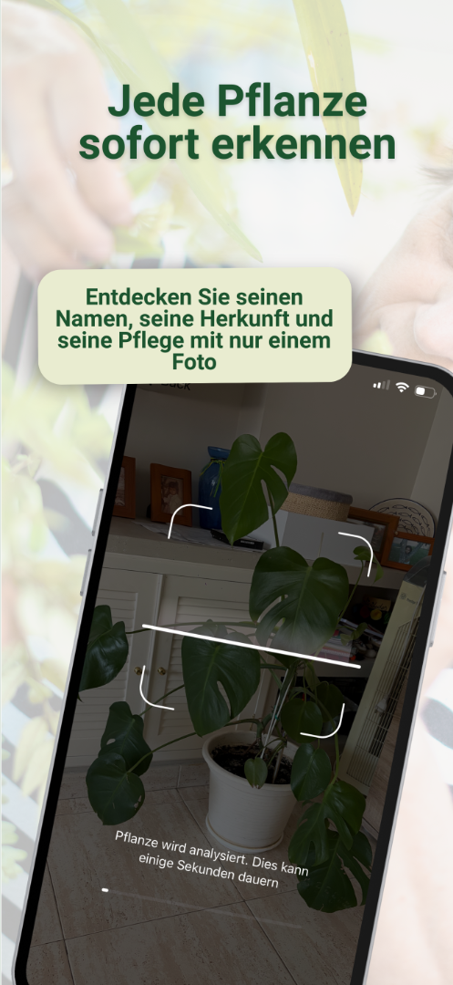 Diagnosis screenshot