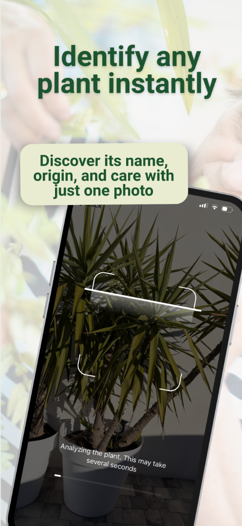 Diagnosis screenshot