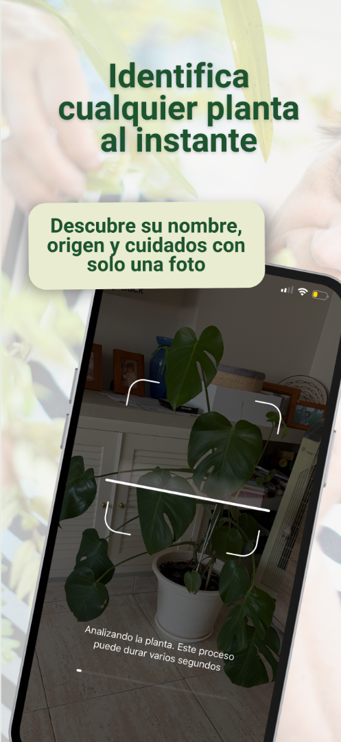 Diagnosis screenshot